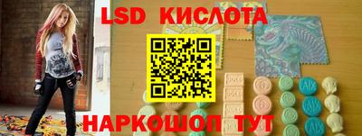 гидра Новозыбков