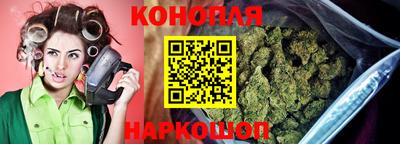 гидропоника Новокубанск