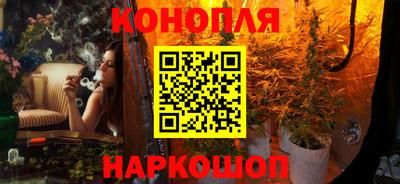 гидропоника Новокубанск