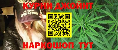 гидра Новозыбков