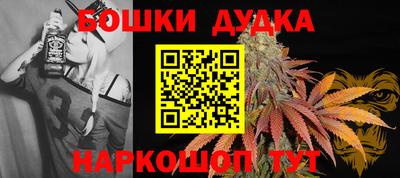 гидра Новозыбков