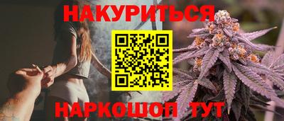 гидра Новозыбков