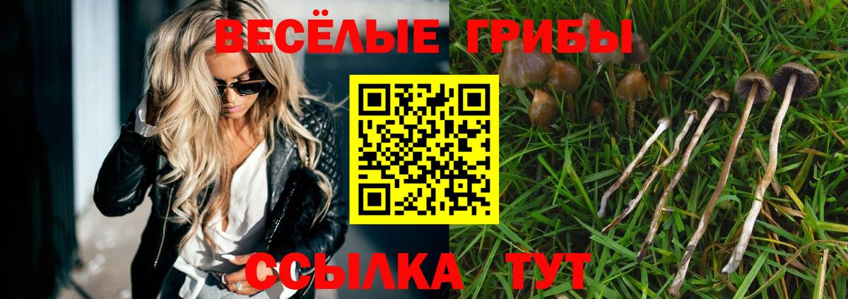 Псилоцибиновые грибы ЛСД Советский