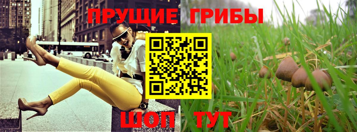 Советский  сколько стоит  Вход с VPN  Галлюциногенные грибы Cubensis 